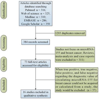 Diagnostic value of circulating miR-155 for breast cancer: a meta-analysis